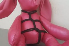 another pinky rope bunny
